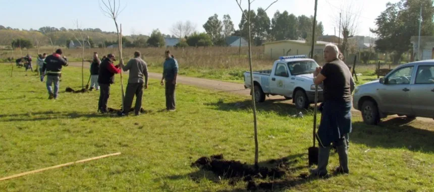 Noticias de Mar del Plata. El EMSUR plantó 60 árboles en la cancha de fútbol del barrio San Patricio