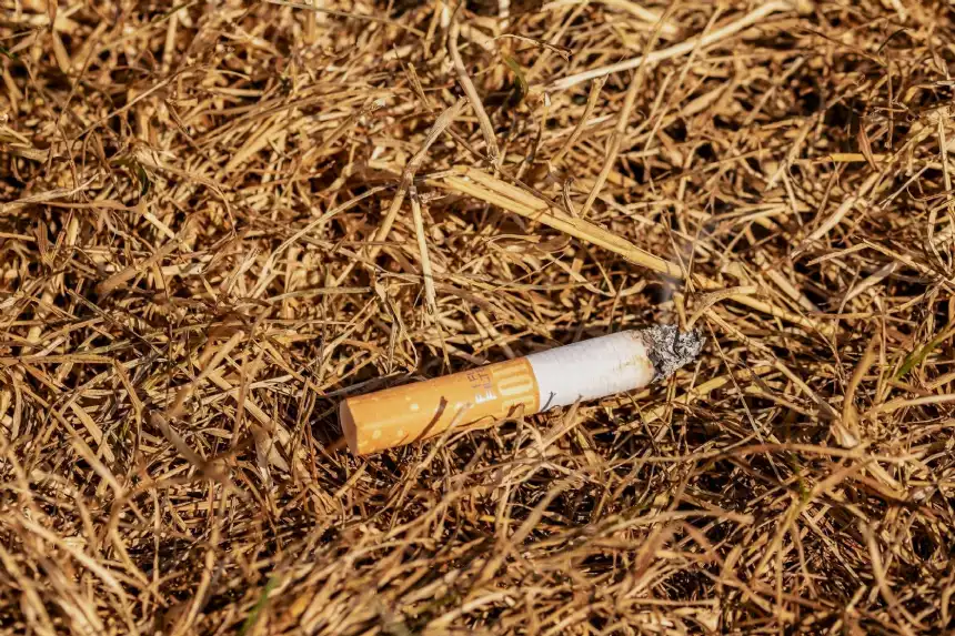 Noticias de Necochea. Guardaparques refuerza recomendaciones para prevenir incendios