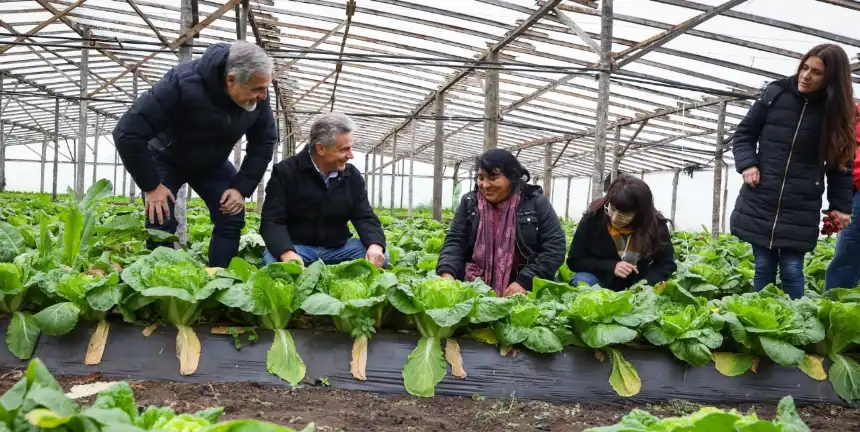 Noticias de Agro y Negocios. Gustavo Pulti pide mayor respaldo al cordón frutihortícola de General Pueyrredon