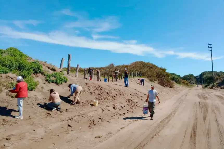 Noticias de Necochea. Jornada de plantación con amplia participación comunitaria