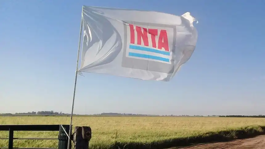 Noticias de Agro y Negocios. La Comisión de Enlace expresó su preocupación por el futuro del INTA y pidió previsibilidad institucional