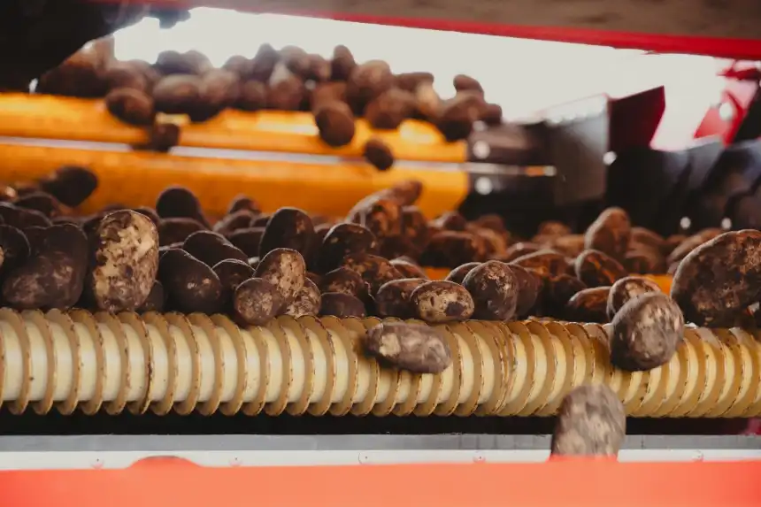 Noticias de Agro y Negocios. Lamb Weston avanza hacia la inauguración de su planta en Mar del Plata con producción inicial