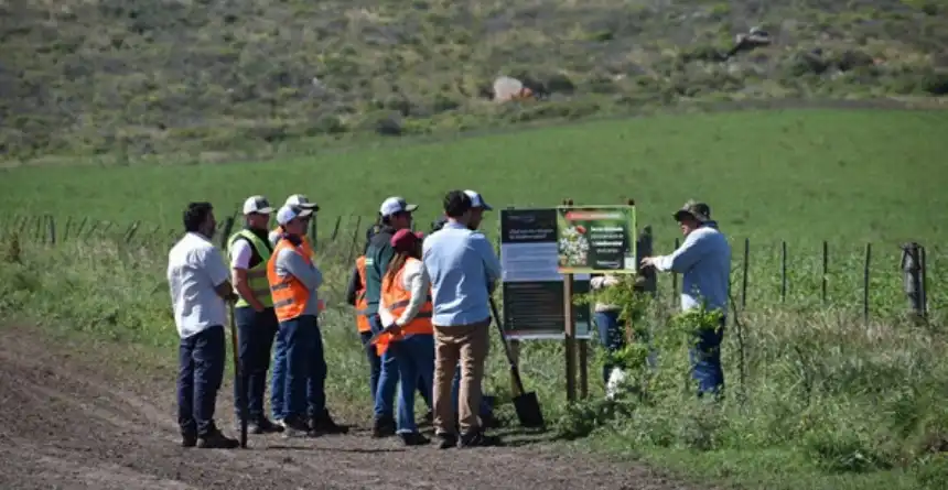 Noticias de Agro y Negocios. McCain y Arcos Dorados impulsan la agricultura regenerativa y premian a productores argentinos