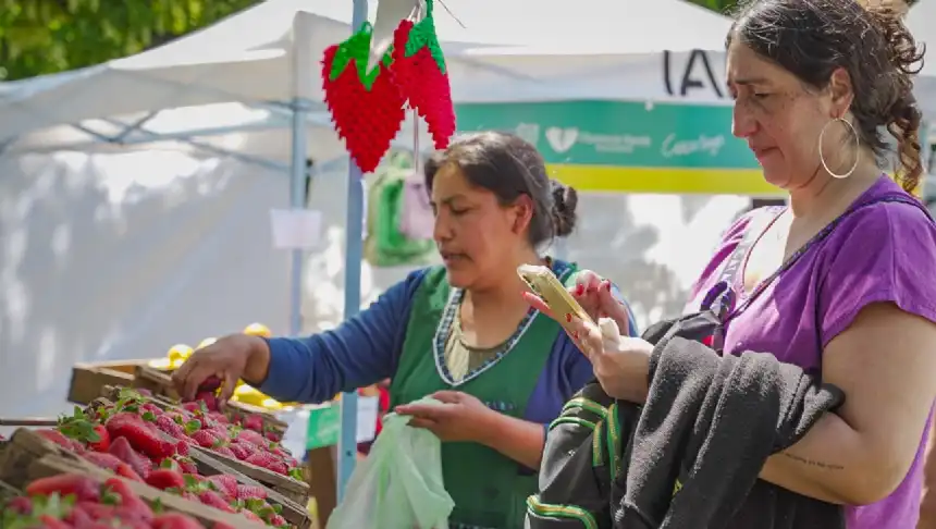 Noticias de Agro y Negocios. Provincia de Buenos Aires potencia su papel como principal productora de frutillas del país
