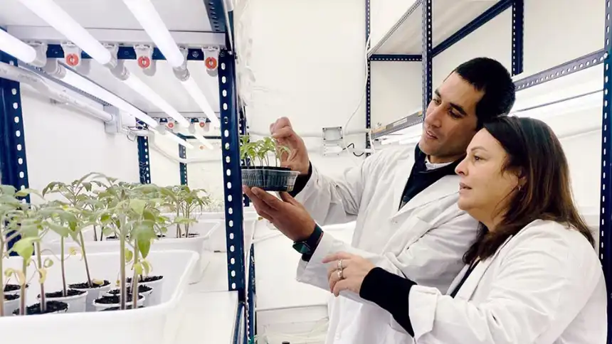 Noticias de Agro y Negocios. Residuos cerveceros transformados en bioestimulantes agrícolas