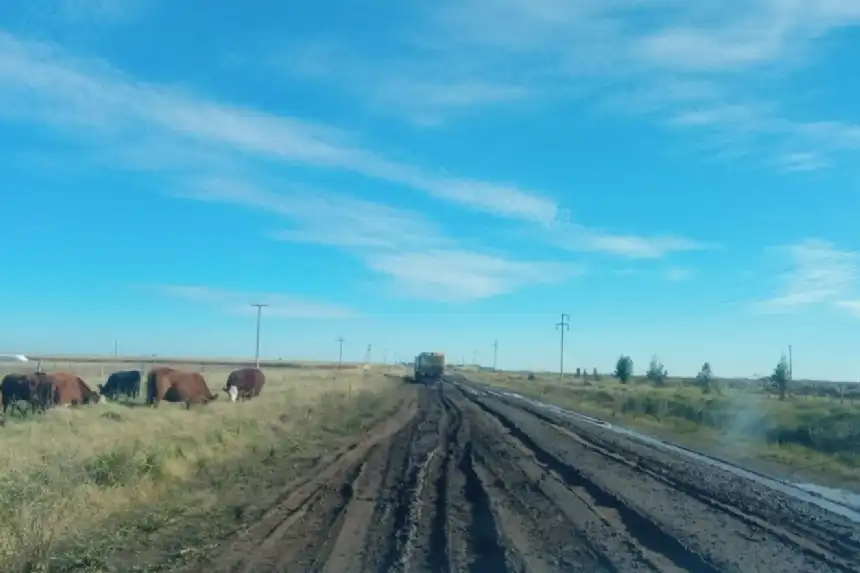 Noticias de Necochea. Severas multas para quienes circulen por caminos rurales hasta 72 horas después de las lluvias Noticias de Necochea. Severas multas para quienes circulen por caminos rurales hasta 72 horas después de las lluvias