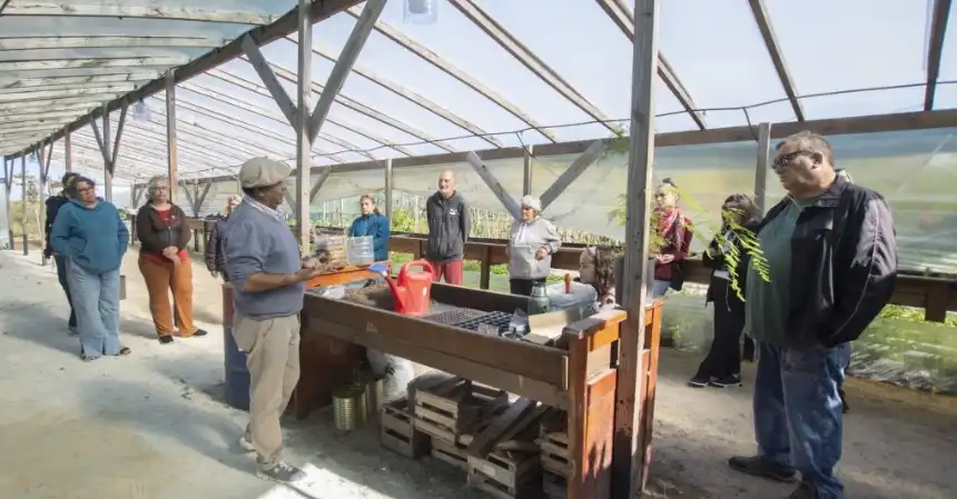 Noticias de Villa Gesell. Taller de siembra en Villa Gesell promueve el cultivo sustentable en huertas urbanas