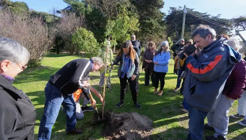 Noticias de Villa Gesell. Villa Gesell plantó árboles en el Pinar del Norte como homenaje a sitios culturales protegidos