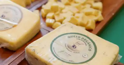 Agro y Negocios. Exportaciones orgánicas crecen 31% y marcan récord