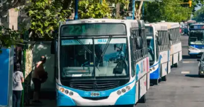 General Pueyrredon. Infraccionaron a empresas de colectivos por el paro