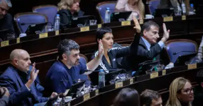 Diputados bonaerenses aprobaron la Ley Joaquín