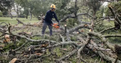 General Pueyrredon. Mejoran plaza en barrio La Florida