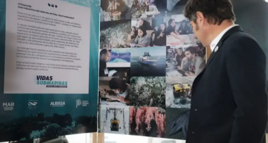 Noticias de Regionales. Muestra Vidas Submarinas llega al Teatro Argentino Noticias de Regionales. Muestra Vidas Submarinas llega al Teatro Argentino