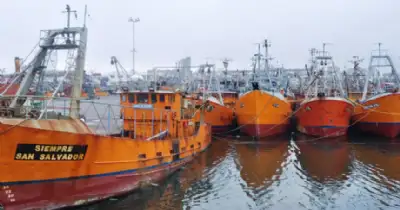 General Pueyrredon. Pulti impulsa medidas urgentes para la pesca en crisis